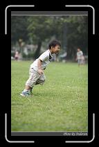 IMG_7508 * 600 x 966 * (297KB)