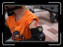 IMG_7601 * 900 x 644 * (259KB)