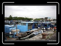 IMG_7776 * 900 x 644 * (292KB)
