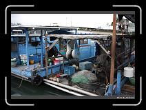 IMG_7780 * 900 x 644 * (293KB)