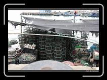 IMG_7798 * 900 x 644 * (294KB)