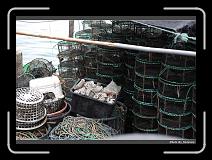 IMG_7800 * 900 x 644 * (283KB)