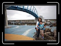 IMG_7803 * 900 x 644 * (279KB)