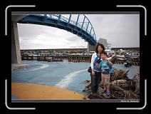 IMG_7804 * 900 x 644 * (274KB)