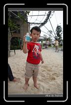 IMG_8070 * 600 x 966 * (287KB)