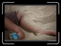 IMG_8087 * 900 x 644 * (283KB)