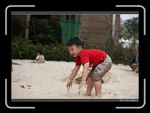 IMG_8100 * 900 x 644 * (251KB)