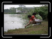 IMG_8229 * 900 x 644 * (278KB)