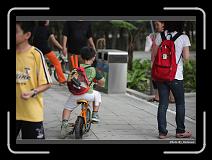 IMG_8274 * 900 x 644 * (271KB)