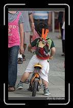 IMG_8276 * 600 x 966 * (285KB)