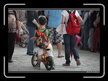 IMG_8279 * 900 x 644 * (278KB)
