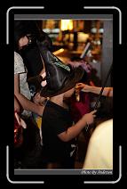 IMG_8385 * 600 x 966 * (271KB)
