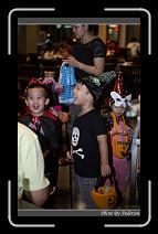 IMG_8394 * 600 x 966 * (284KB)