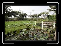 DPP_0008 * 900 x 644 * (293KB)
