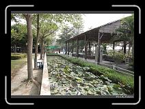 DPP_0009 * 900 x 644 * (297KB)