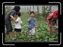 DPP_0246 * 900 x 644 * (292KB)