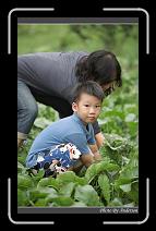 DPP_0249 * 600 x 966 * (285KB)