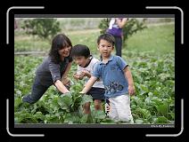 DPP_0261 * 900 x 644 * (291KB)
