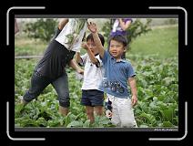 DPP_0262 * 900 x 644 * (288KB)