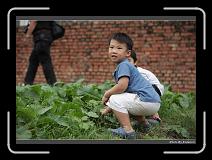 DPP_0263 * 900 x 644 * (267KB)