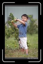 DPP_0280 * 600 x 966 * (291KB)