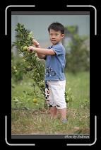 DPP_0283 * 600 x 966 * (258KB)