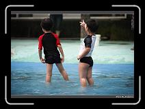 DPP_0351 * 900 x 644 * (272KB)
