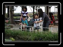 DPP_0454 * 900 x 644 * (291KB)