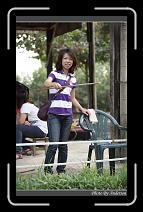 DPP_0494 * 600 x 966 * (295KB)