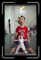 IMG_9361 * 600 x 966 * (289KB)