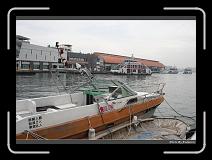 IMG_9490 * 900 x 644 * (297KB)