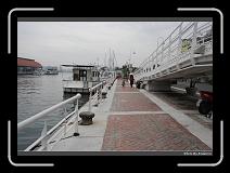 IMG_9491 * 900 x 644 * (263KB)