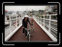 IMG_9506 * 900 x 644 * (295KB)