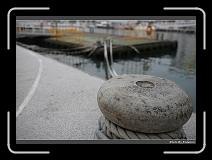 IMG_9513 * 900 x 644 * (263KB)