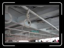IMG_9516 * 900 x 644 * (223KB)