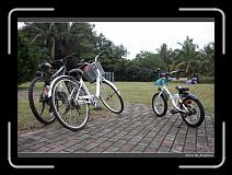 IMG_9553 * 900 x 644 * (281KB)