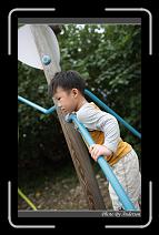 IMG_9554 * 600 x 966 * (289KB)