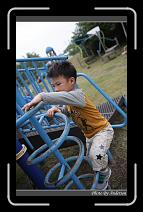 IMG_9561 * 600 x 966 * (266KB)