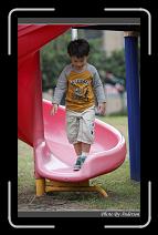 IMG_9589 * 600 x 966 * (273KB)