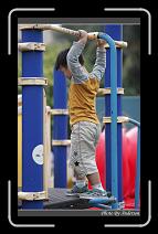 IMG_9594 * 600 x 966 * (298KB)