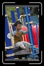 IMG_9596 * 600 x 966 * (274KB)