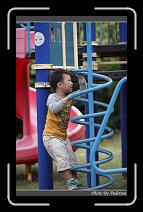 IMG_9599 * 600 x 966 * (283KB)