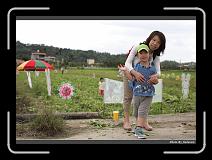 IMG_9616 * 900 x 644 * (274KB)