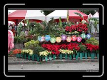 IMG_9672 * 900 x 644 * (291KB)