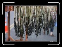 IMG_9681 * 900 x 644 * (267KB)