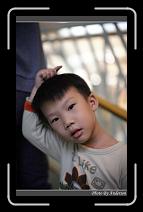 IMG_9990 * 600 x 966 * (241KB)