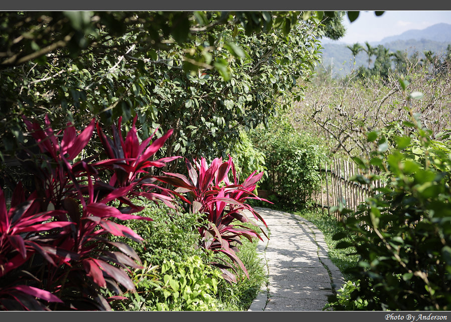 下一張幻燈片