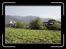 IMG_0051 * 900 x 644 * (299KB)
