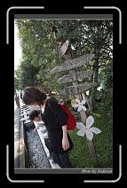 IMG_0053 * 600 x 966 * (298KB)
