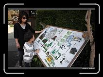 IMG_0055 * 900 x 644 * (285KB)